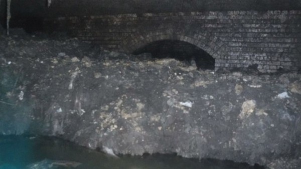 Revealed: Main culprits that made up monster fatberg
Revealed: Main culprits that made up monster fatberg