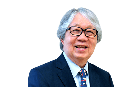 Singapore does not need sycophants. It needs loving critics Singapore does not need sycophants. It needs loving critics