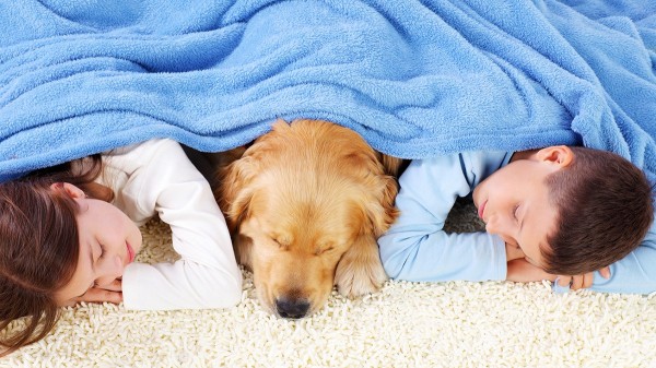 Kids with autism supported by service dogs, as research and families note 'incredible changes' Kids with autism supported by service dogs, as research and families note 'incredible changes'