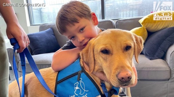 Kids with autism supported by service dogs, as research and families note 'incredible changes' Kids with autism supported by service dogs, as research and families note 'incredible changes'