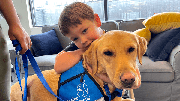 Kids with autism supported by service dogs, as research and families note 'incredible changes' Kids with autism supported by service dogs, as research and families note 'incredible changes'