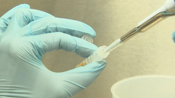 Bird flu tops list of viruses likely to cause another pandemic - so authorities are on high alert Bird flu tops list of viruses likely to cause another pandemic - so authorities are on high alert
