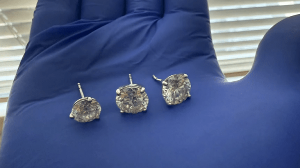 Diamond Tiffany earrings swallowed by suspected thief are recovered by Florida police Diamond Tiffany earrings swallowed by suspected thief are recovered by Florida police