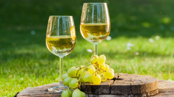 Drinking white wine could reduce risk of cardiac arrest - study Drinking white wine could reduce risk of cardiac arrest - study