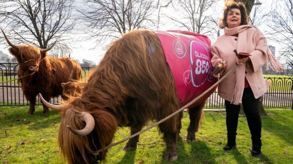 Elaine C Smith grazes cows on Glasgow Green to mark receiving city's highest honour Elaine C Smith grazes cows on Glasgow Green to mark receiving city's highest honour