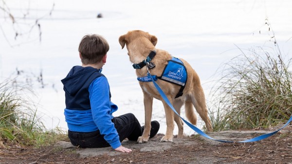 Kids with autism supported by service dogs, as research and families note 'incredible changes' Kids with autism supported by service dogs, as research and families note 'incredible changes'
