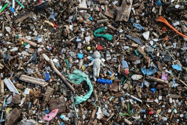 Microscopic plastic levels far higher in those who suffer strokes, study finds Microscopic plastic levels far higher in those who suffer strokes, study finds