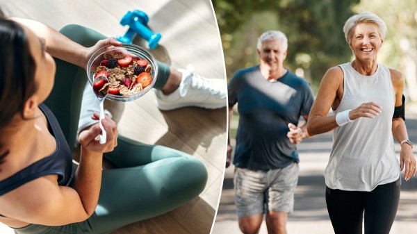 Scientists may have discovered why the pounds come back after losing weight