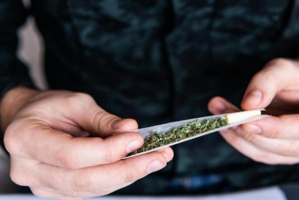 Marijuana use linked to early signs of heart damage Marijuana use linked to early signs of heart damage