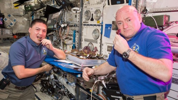 What astronauts could end up eating in space after experiment 'meets objectives'