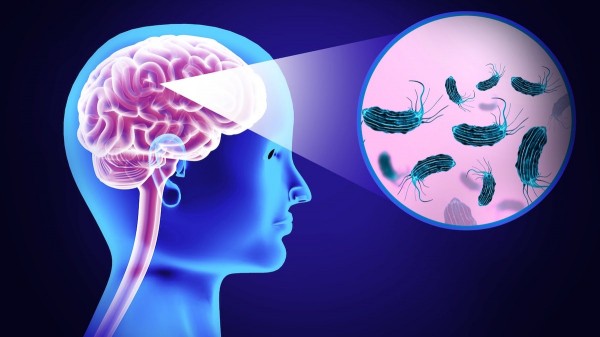Woman dies of brain-eating amoeba after using tap water in nasal rinse device Woman dies of brain-eating amoeba after using tap water in nasal rinse device