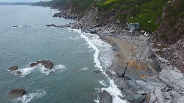 Octopus boom along England's southwest coast down to 'perfect storm'