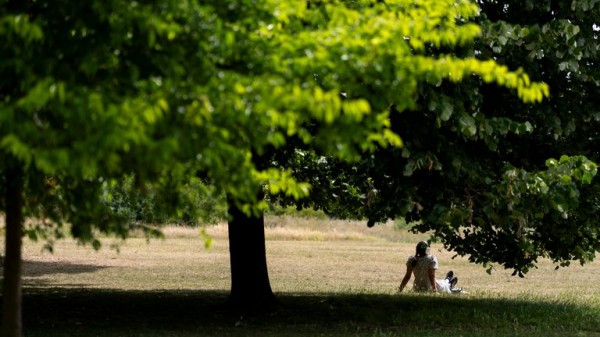UK weather: Yellow heat health alerts issued for most of England, as forecast reveals where it will hit 33C UK weather: Yellow heat health alerts issued for most of England, as forecast reveals where it will hit 33C