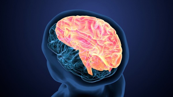 Warding off Alzheimer's might mean making these 11 lifestyle changes, expert says Warding off Alzheimer's might mean making these 11 lifestyle changes, expert says