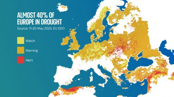 East and West Midlands are latest regions officially in drought - which areas could be next? East and West Midlands are latest regions officially in drought - which areas could be next?
