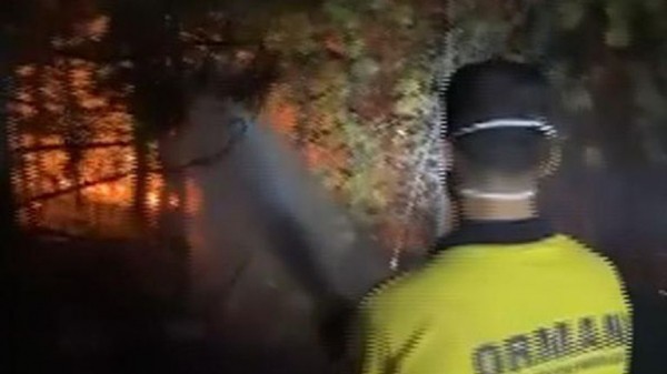 Firefighters tackle blazes as wildfires break out in Greece, Turkey and Albania Firefighters tackle blazes as wildfires break out in Greece, Turkey and Albania