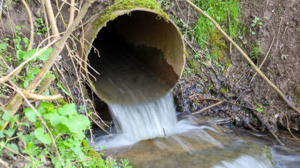 Labour will eliminate unauthorised sewage spillages in a decade, environment secretary says Labour will eliminate unauthorised sewage spillages in a decade, environment secretary says