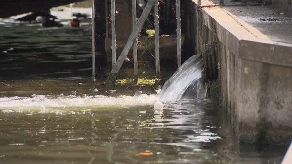 Ofwat to be swept away on tide of public anger over sewage spills Ofwat to be swept away on tide of public anger over sewage spills