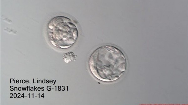 Record-breaking baby born from oldest ever embryo Record-breaking baby born from oldest ever embryo