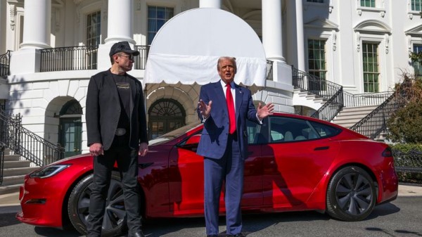 Tesla looks to cheaper model as revenue suffers worst drop in over a decade Tesla looks to cheaper model as revenue suffers worst drop in over a decade