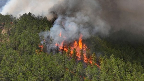Turkey wildfires: At least 17 killed as thousands flee their homes Turkey wildfires: At least 17 killed as thousands flee their homes