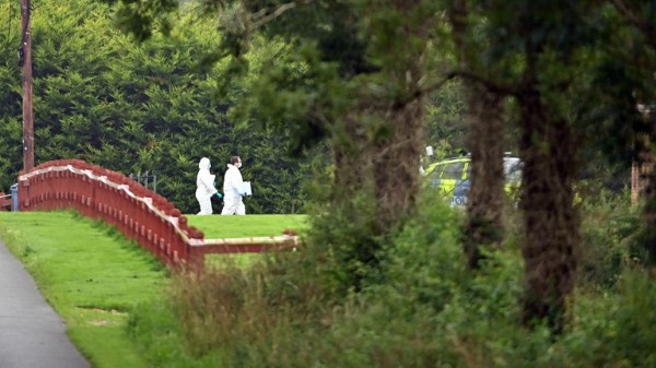 Two children and mother who died in Northern Ireland shooting named