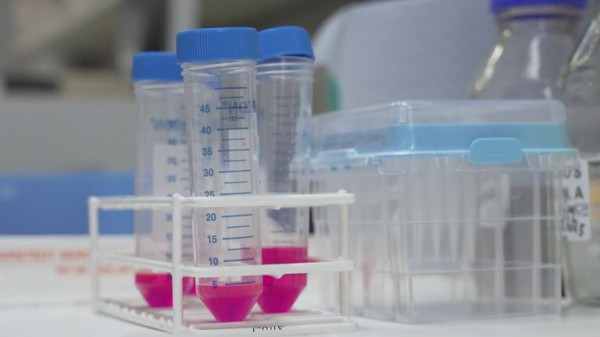 We are entering 'golden age' of cancer treatment - and also facing a less gilded era too