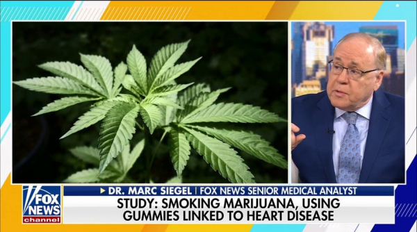 Cannabis gummy poisonings surge among vulnerable group, experts warn Cannabis gummy poisonings surge among vulnerable group, experts warn