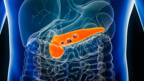 Common sweetener could hold untapped potential to fight aggressive cancer, study finds Common sweetener could hold untapped potential to fight aggressive cancer, study finds