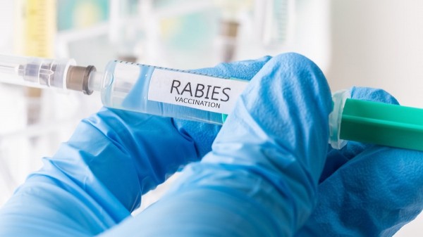 Deadly rabies cases pose public health threat across US, experts warn