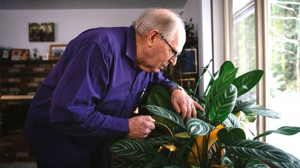 He carries the Alzheimer’s gene but never got the disease — scientists want to know why He carries the Alzheimer’s gene but never got the disease — scientists want to know why