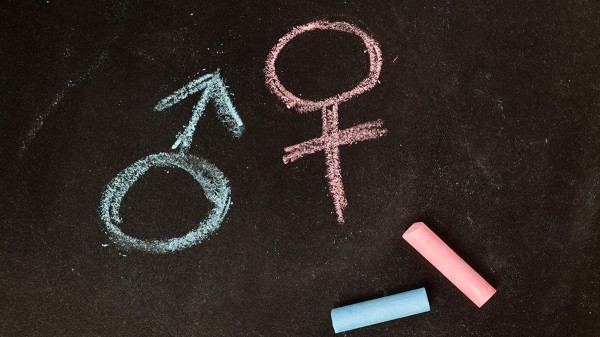 Number of young adults identifying as transgender plunges by nearly half in two years Number of young adults identifying as transgender plunges by nearly half in two years