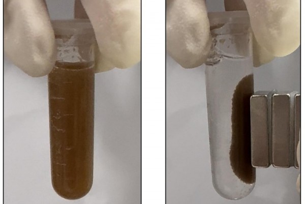 'Bacteria pill' could replace colonoscopy for gut diseases, makers say 'Bacteria pill' could replace colonoscopy for gut diseases, makers say
