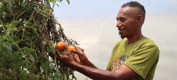 From farm to classroom: Feeding children and supporting farmers in Timor-Leste
From farm to classroom: Feeding children and supporting farmers in Timor-Leste