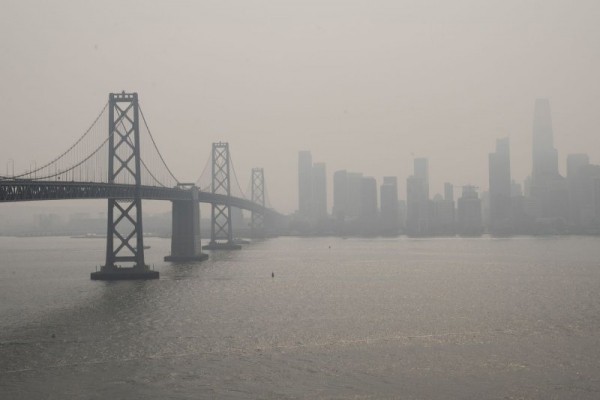 Study suggests air pollution contributes to clogged arteries Study suggests air pollution contributes to clogged arteries