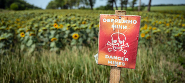 UN agency rolls out three-year plan to safeguard Ukraine’s bread basket
UN agency rolls out three-year plan to safeguard Ukraine’s bread basket