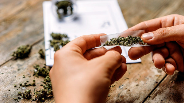 Cannabis compounds could reverse disease affecting one-third of adults Cannabis compounds could reverse disease affecting one-third of adults
