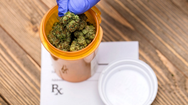 Cannabis compounds could reverse disease affecting one-third of adults Cannabis compounds could reverse disease affecting one-third of adults